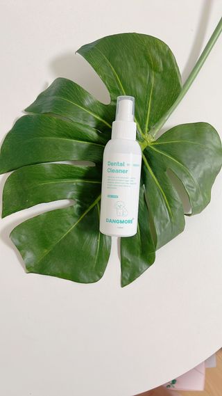[댕모어 클리너 3종] 아이클리너 / 이어클리너 / 덴탈클리너 3종 세트 (120ml) — 5점을 준 리뷰어가 2023년 9월 올린 사용 사진