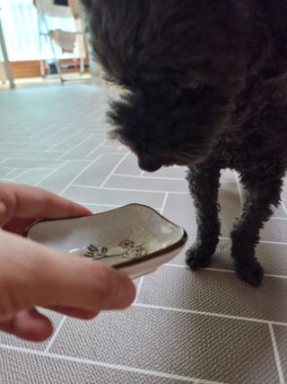 apple님이 올린 리뷰 사진 3