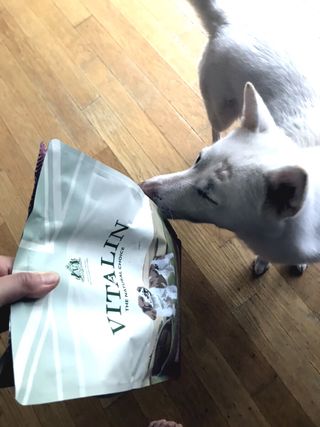 스쿰비님이 올린 리뷰 사진 1