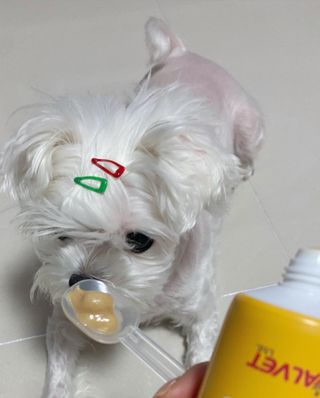메리님이 올린 리뷰 사진 4