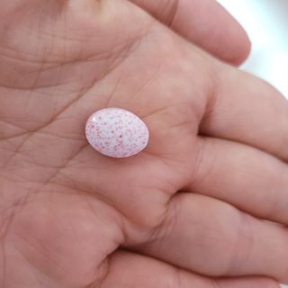 쭌하맘님이 올린 리뷰 사진 3