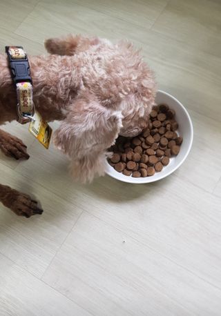 민난길님이 올린 리뷰 사진 2