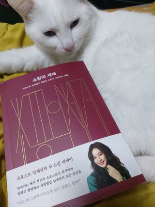 귤양님이 올린 리뷰 사진 1