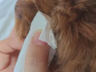 연이님이 올린 리뷰 사진 4
