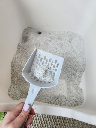 원유범님이 올린 리뷰 사진 4