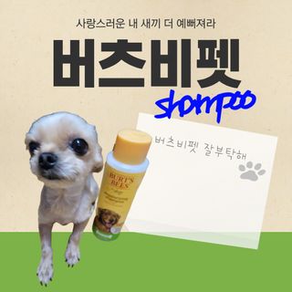상상씨님이 올린 리뷰 사진 2
