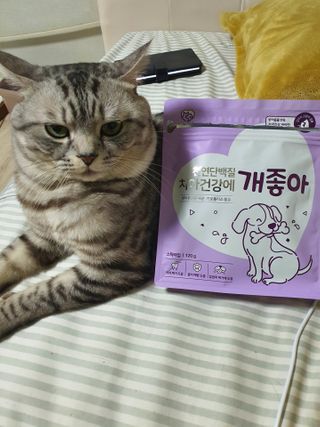 My Pet Care 천연단백질 치아건강에 개좋아 — 5점을 준 리뷰어가 2021년 2월 올린 사용 사진