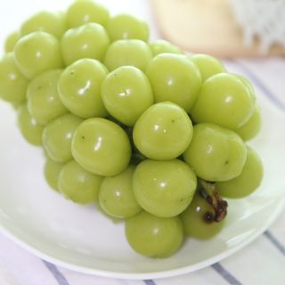 프리미엄 수출용 엘로아시스 샤인머스켓 특등품 1.5kg 2송이 — 5점을 준 리뷰어가 2021년 10월 올린 사용 사진