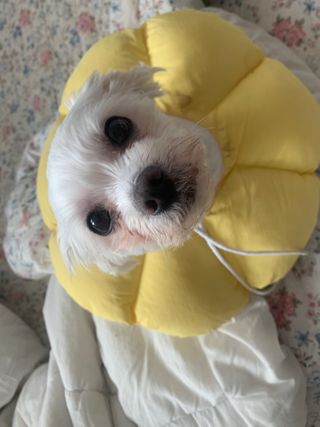 김주은님이 올린 리뷰 사진 4