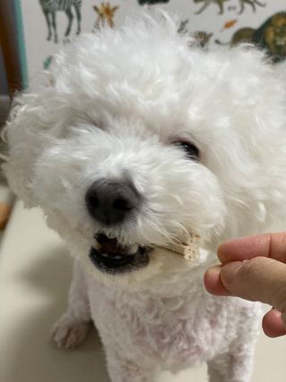 민님이 올린 리뷰 사진 3