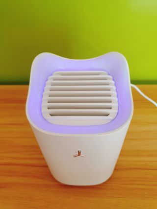 빠빠야님이 올린 리뷰 사진 4