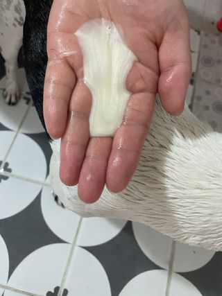 jeinok님이 올린 리뷰 사진 2