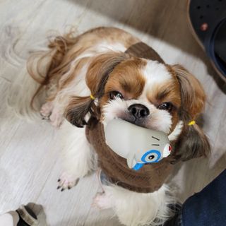 가루파랑님이 올린 리뷰 사진 4