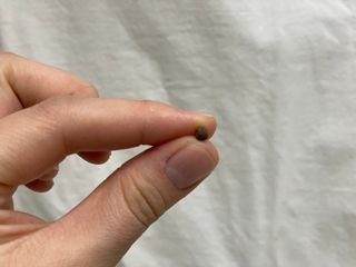똥기사의 케이푸드 화이버슬림 — 5점을 준 리뷰어가 2021년 3월 올린 사용 사진