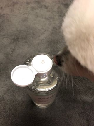나나나님이 올린 리뷰 사진 2