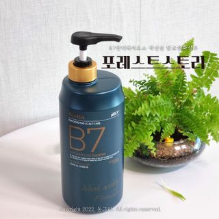 [포레스트스토리] 탈모증상완화 샴푸 1,000ml — 5점을 준 리뷰어가 2022년 8월 올린 사용 사진