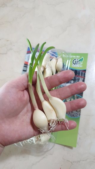 에스더킴님이 올린 리뷰 사진 3