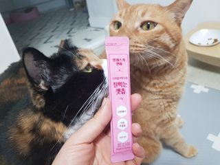 페페로니 잘 먹는 캣츄 - 알래스카 연어 24개입 — 5점을 준 리뷰어가 2021년 7월 올린 사용 사진