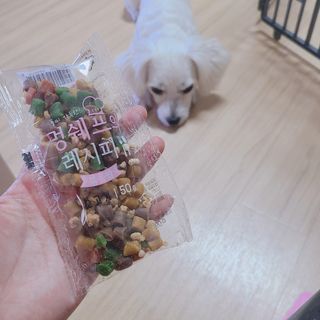 슝늉님이 올린 리뷰 사진 4