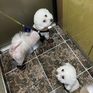 융투님이 올린 리뷰 사진 3