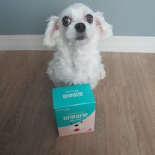 펫시랩 반려견용 액상 프리바이오틱스 아쿠아펫 — 5점을 준 리뷰어가 2021년 1월 올린 사용 사진