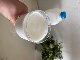 프리_[덴마크] 진하고 더 고소한 플레인 요거트 1.8L — 5점을 준 리뷰어가 2025년 5월 올린 사용 사진