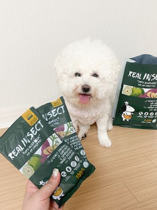 [푸디웜] 라포그  리얼인섹트 웨이트밸런스 저알러지 강아지 사료  1.2KG — 5점을 준 리뷰어가 2022년 7월 올린 사용 사진