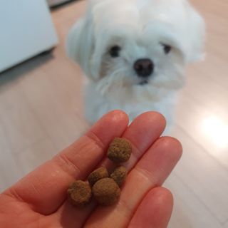 hosu.1230님이 올린 리뷰 사진 3