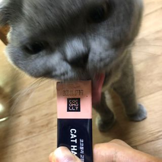코코몰리 고양이 구강• 헤어볼 데일리 /신장• 요로 데일리 — 5점을 준 리뷰어가 2021년 1월 올린 사용 사진