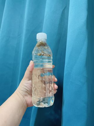 삐딱한펭귄님이 올린 리뷰 사진 3