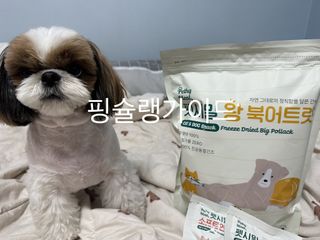 [펫시밀] 원물그대로 영양듬뿍 동결건조 왕북어트릿300g,왕치킨트릿400g,열빙어트릿300g 대용량 간식 — 5점을 준 리뷰어가 2023년 5월 올린 사용 사진