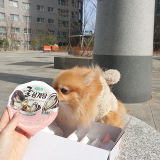 🌷 킴블리 🌷님이 올린 리뷰 사진 2