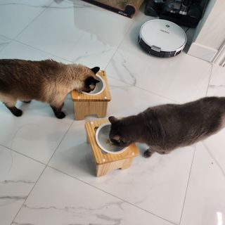 부우기님이 올린 리뷰 사진 3