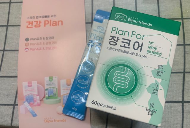 플랜 포 장코어 리뷰 사진