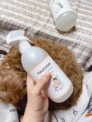 냠얌이님이 올린 리뷰 사진 4