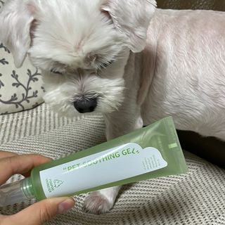 Mini님이 올린 리뷰 사진 3