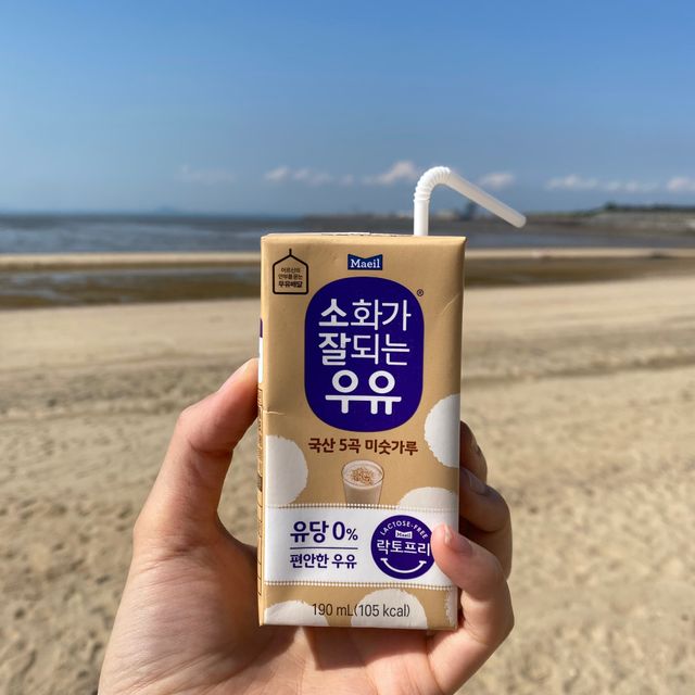 소화가 잘되는 우유 국산 5곡 미숫가루 리뷰 사진