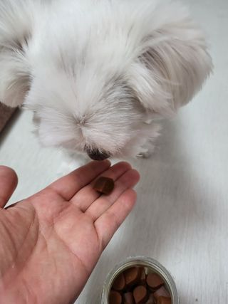 뽀오오옹님이 올린 리뷰 사진 1