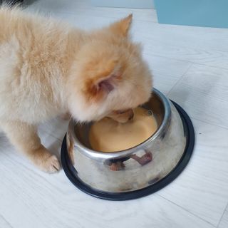 양용언님이 올린 리뷰 사진 2