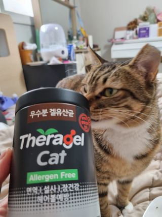 별빛달숲님이 올린 리뷰 사진 1