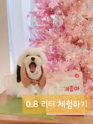 0.8L 마케팅팀 - — 4점을 준 리뷰어가 2021년 5월 올린 사용 사진