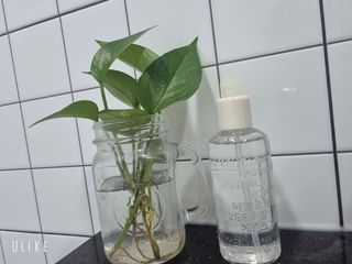 신현미님이 올린 리뷰 사진 2
