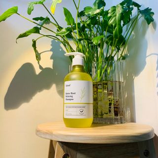 달리프 클로렐라 베러 루트 릴렉싱 샴푸 500ml — 5점을 준 리뷰어가 2021년 6월 올린 사용 사진