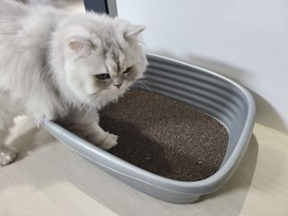 쏘이쏘이님이 올린 리뷰 사진 2