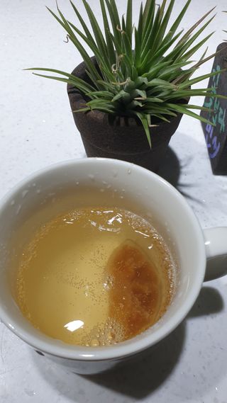 몽베스트 Montbest with Sparkling water Lemon OR Lime 20병(랜덤) — 5점을 준 리뷰어가 2022년 12월 올린 사용 사진