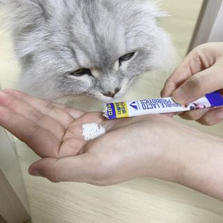 빨간망토유히님이 올린 리뷰 사진 1