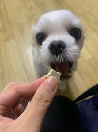 bibi1517님이 올린 리뷰 사진 1