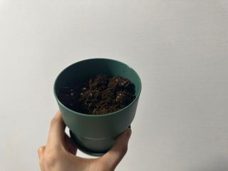 Obliviate님이 올린 리뷰 사진 4