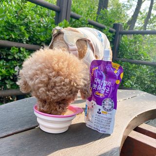 파이님이 올린 리뷰 사진 2