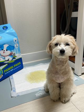 -님이 올린 리뷰 사진 3